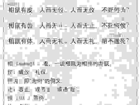 涓滴归公是什么生肖?老鼠聪明机智藏宝物。