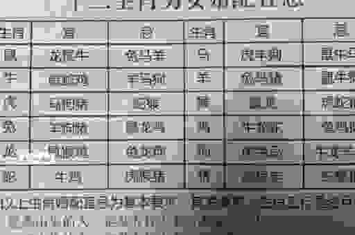 想知道龙骧虎步指哪个生肖吗？这几点告诉你！
