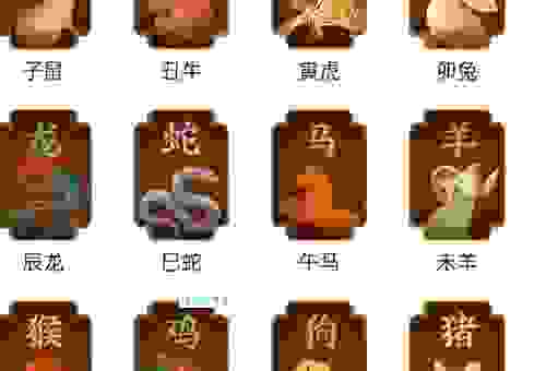 张牙舞爪代表哪个生肖?这几个生肖性格最冲!