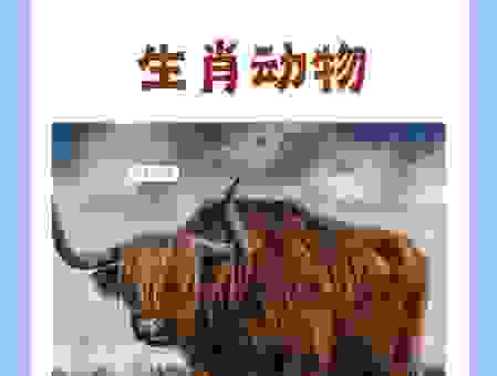 牛气冲天是什么生肖？这几个生肖的说法最靠谱！