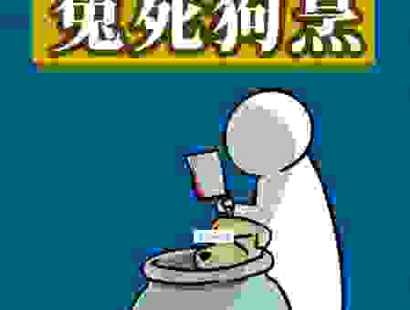 兔死狗烹说的是哪个生肖？帮你快速解开谜团！