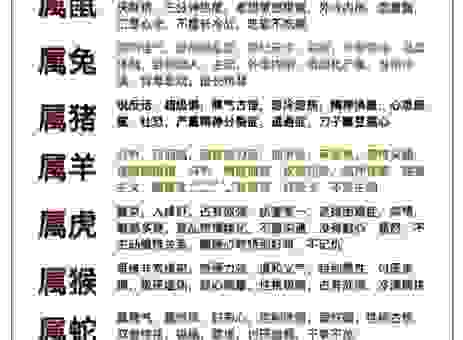 不求甚解是什么生肖？这些生肖的性格你了解多少？