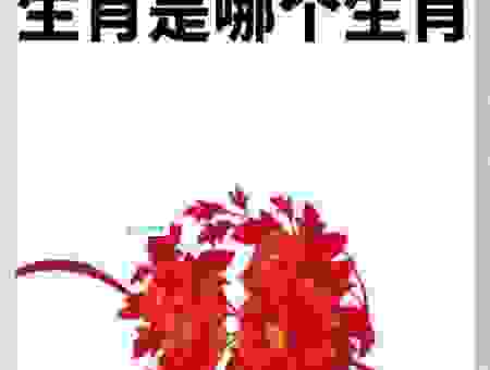 闻名遐迩是指代表什么生肖？看完你就明白了！