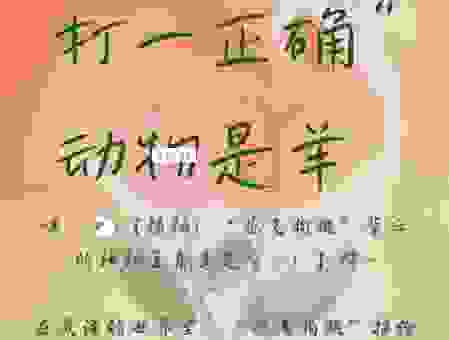 浪迹天涯是啥生肖？关于这个动物的秘密揭秘！
