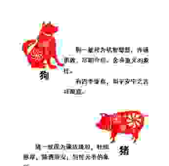 策马奔腾的生肖是什么？看完你就明白了！