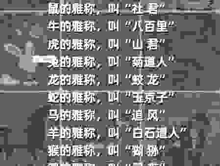 泥多佛大是哪个生肖？一篇文章告诉你答案