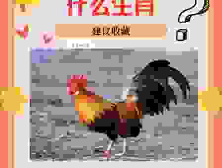 关于斩草除根的生肖,这篇文章给你答案!