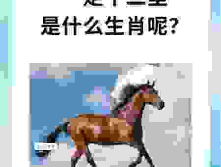 奔跑如飞的生肖是什么？一招教你轻松识别！