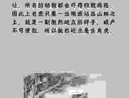引风吹火是哪个生肖？答案可能让你大吃一惊！