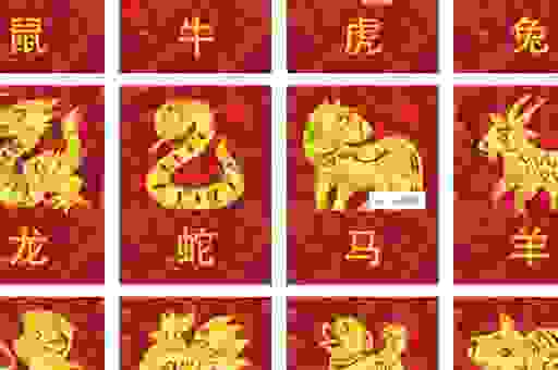 龙蟠虎踞是什么生肖？老祖宗的智慧都在这里