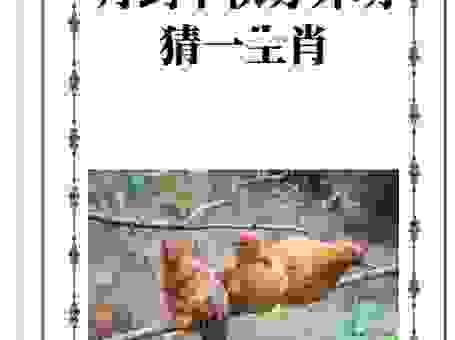 野草枯黄是什么生肖的信号？答案可能让你想不到