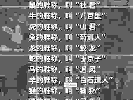 宛然如梦的生肖是什么？这些信息你得知道！