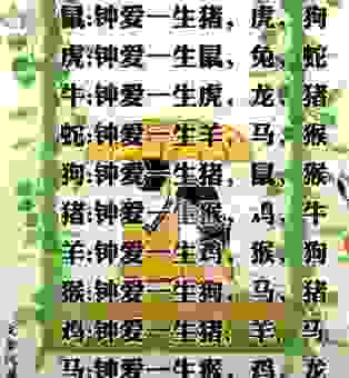 泫然流涕会关联到什么生肖?这些生肖情感丰富
