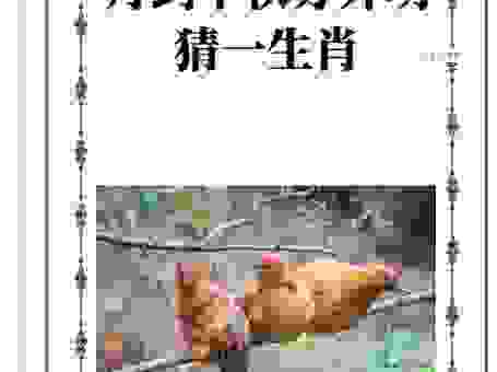 测测你知道谦让未遑是什么生肖吗？