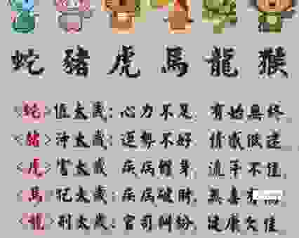 周穷恤匮是什么生肖？揭秘这个生肖的真正含义！