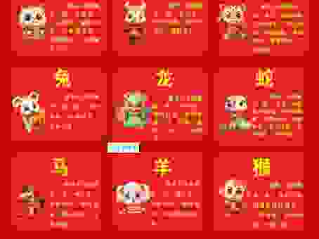 率性任意是什么生肖?想知道就来这里看看吧!