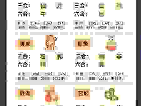 率性任意是什么生肖?想知道就来这里看看吧!