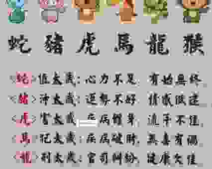 勇闯险途代表指什么生肖?揭秘那些敢于冒险的生肖!