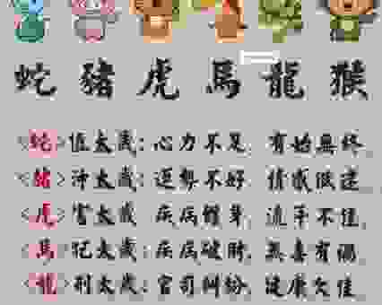 弃文就武是什么生肖？看完你就明白，真的没说错。