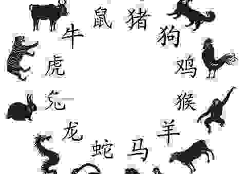 弃文就武是什么生肖？看完你就明白，真的没说错。