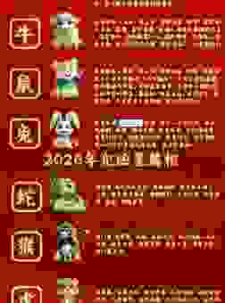 韶光似箭是什么生肖？原来是它，快来看看！
