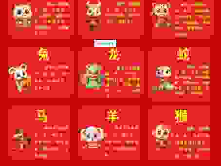 哪个生肖八九不离十？老一辈人最看好的生肖是它！