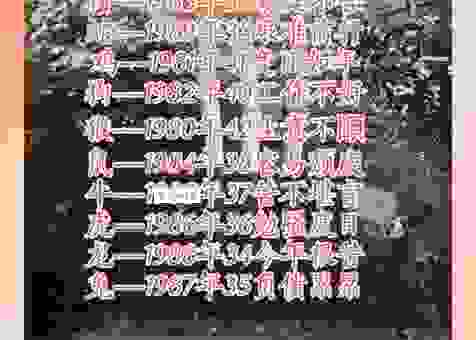 自讨苦吃最像哪个生肖？这些生肖的命运让人唏嘘
