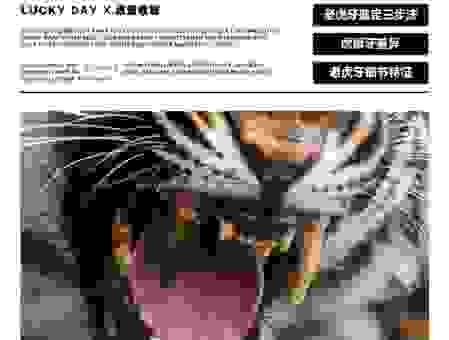 红嘴白牙是什么生肖？一招教你辨别真假答案！