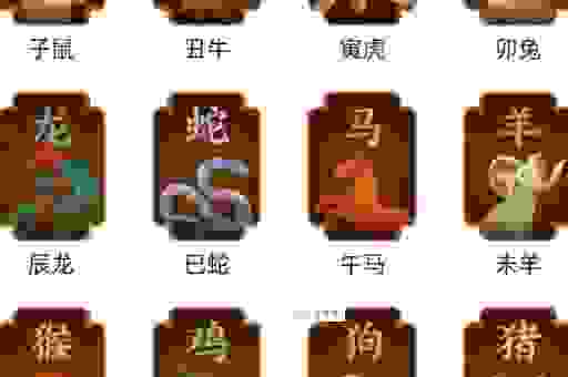头头是道代表啥生肖？解密十二生肖的秘密。