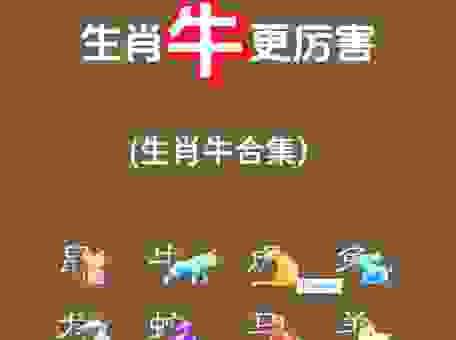 关于目无全牛代表什么生肖，看完你就明白了！