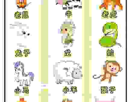 关于目无全牛代表什么生肖，看完你就明白了！