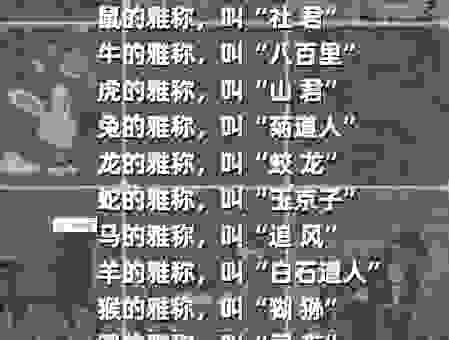 关于如花似玉是代表什么生肖，这几个说法最靠谱！