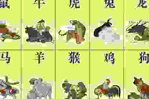 风驰电掣代表指什么生肖？这些生肖速度最快！